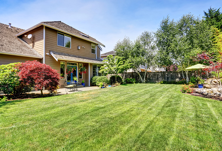 Spring lawn care tips